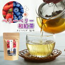 【人気急上昇】ベリーベリー和紅茶/2g×8 お茶 ティーバッグ 松田製茶 猿島茶 フルーツティー 日本茶インストラクターがいるお店 TBG-044