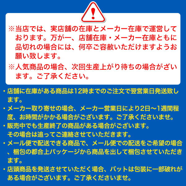 野球 ユニフォームパンツ レギュラー タイプ ミズノ 一般用 12JD6F6001 練習用 硬式 軟式 ソフトボール にも