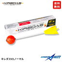 【送料無料】野球 トレーニング キレダス V2 KIREDAS 初心者用 投球動作 球速アップ 投球練習