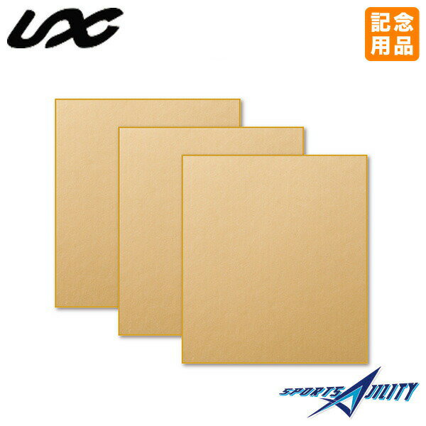 色紙 私記志 卒団 卒業 記念日 コールド 金色色紙 お祝い 優勝 寄せ書き FD14-28:3枚セット