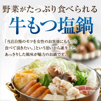 あっさり塩もつ鍋2人前