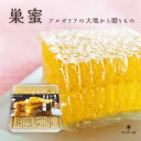 【クリアランスセール！】生 ハニカム 160g サバンナビー 蜂蜜 ハチミツ【Savannah Bee】Raw Acacia HoneyComb Mini 5.6 oz