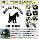 【松印】ドッグステッカー 肉球ステッカー付き ウェルシュテリア Welsh Terrier 3サイズ 8タイプ 60カラー以上 犬種 猫種 In Car cat dog 乗ってます デカール 切り抜き シール シルエット ペット