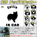 【松印】ドッグステッカー 肉球ステッカー付き コリー Collie 3サイズ 8タイプ 60カラー以上 犬種 猫種 In Car cat dog 乗ってます デカール 切り抜き シール シルエット ペット