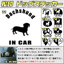 【松印】ドッグステッカー 肉球ステッカー付き ダックス フンド Dachshund 3サイズ 8タイプ 60カラー以上 犬種 猫種 In Car cat dog...
