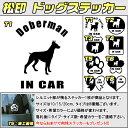 【松印】ドッグステッカー 肉球ステッカー付き ドーベルマン Doberman 3サイズ 8タイプ 60カラー以上 犬種 猫種 In Car cat dog 乗ってます デカール 切り抜き シール シルエット ペット