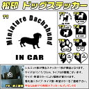 【松印】ドッグステッカー 肉球ステッカー付き ミニチュアダックス Miniature Dachshund 3サイズ 8タイプ 60カラー以上 犬種 猫種 In Car cat dog 乗ってます デカール 切り抜き シール シルエット ペット