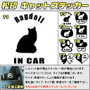 【松印】キャットステッカー 肉球ステッカー付き ラグドール Ragdoll 3サイズ 8タイプ 60カラー以上 犬種 猫種 In Car cat dog 乗ってます デカール 切り抜き シール シルエット ペット