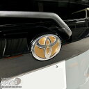 【松印】車種専用 エンブレムフィルム (リアメーカー空白) トヨタ シエンタ L10 C10 MXPL10G MXPL15G MXPC10G(2)