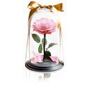 AMOROSA アモローサ プリザーブドフラワー デスティニーローズ(1本立ち) フェミニンピンク バラ 母の日 ギフト 花 誕生日 結婚 記念日 プロポーズ ...