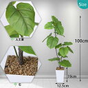 フェイクグリーン 人工観葉植物 100cm 観葉樹 造花 光触媒 消臭 お手入れ簡単 オフィス 室内 インテリア