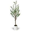 フェイクグリーン 人工観葉植物 リアルな朝露付き 光触媒 消臭 空気清浄 高さ120cm 大型 室内外対応 鉢植え 水やり不要 お手入れ簡単 虫害の心配なし 玄関・キッチン・オフィス・ベランダ・結婚飾り お祝い用 オリーブ ミランの葉 アグライア ミカン科