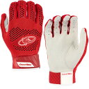 Lizard Skins Pro Knit 2.0 野球バッティンググローブ 大人用 野球バッティンググローブ レッド Lサイズ
