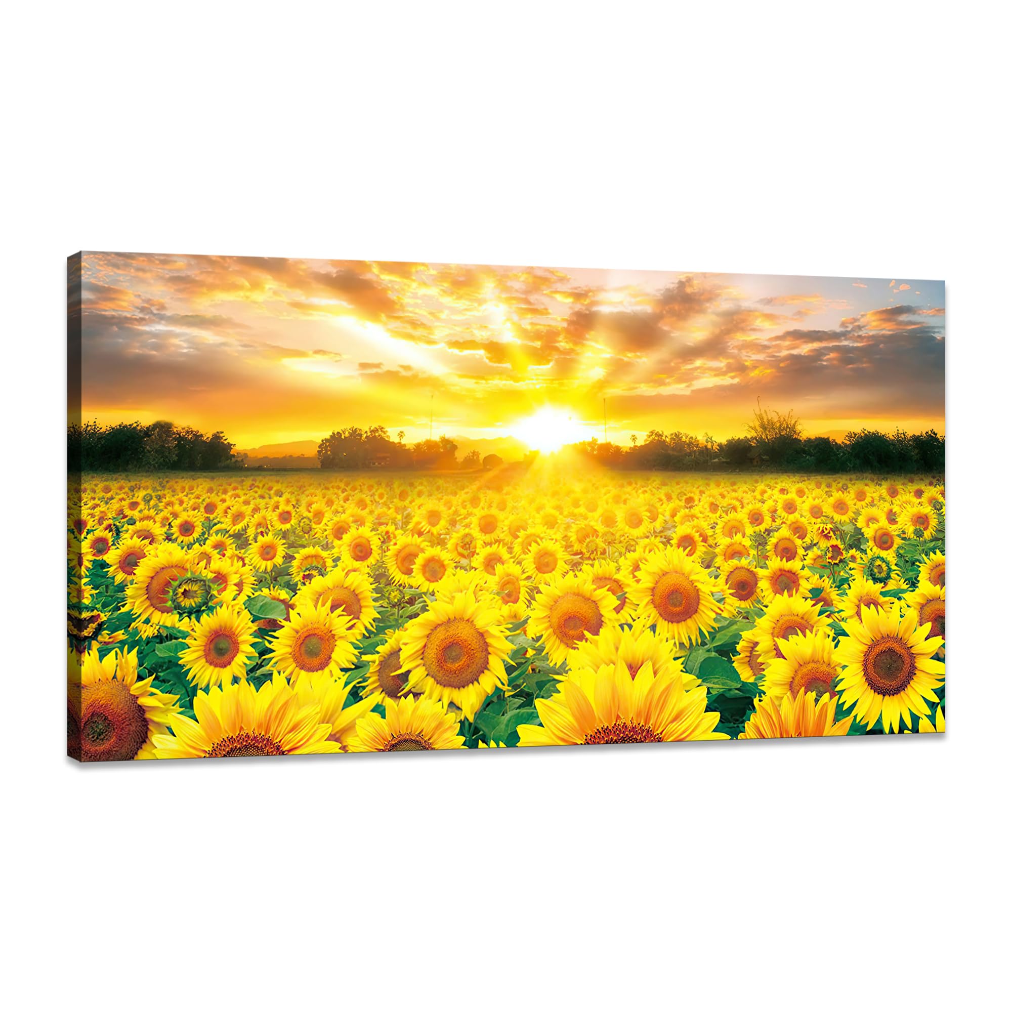 Ҥޤ ȥѥͥ  ƥꥢ  ݥ ʲ ѥͥ ɳݤ ɲ Ź Źˤ  Ɀ  (40x80cm)