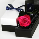 Makefuture Diamond Rose プリザーブドフラワー 花 バラ 化粧箱入り 1輪 (ホットピンク, ショッパー+国産ローズフレグランス付き)