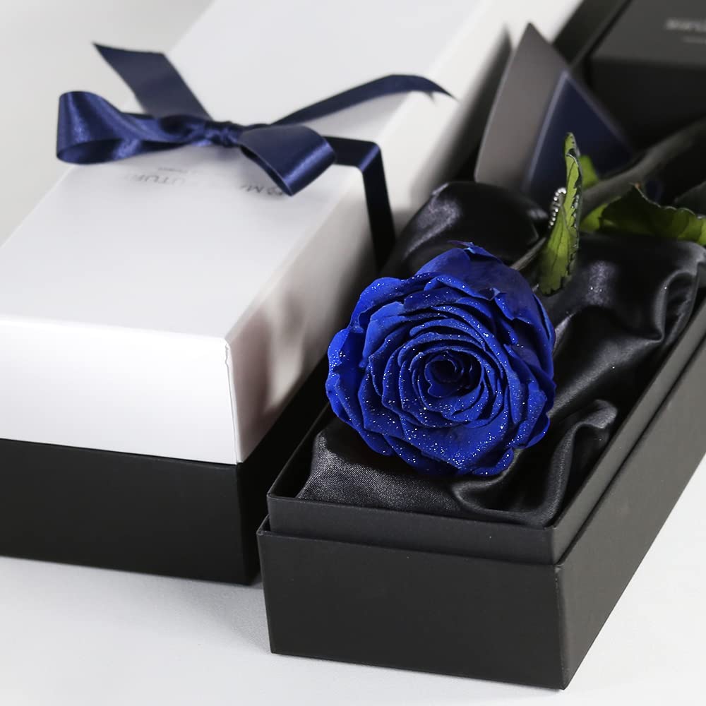 Makefuture Diamond Rose ץꥶ֥ɥե  Х Ȣ 1 (ȥ֥롼, åѡ+񻺥...