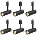 SPAHER ライティングレール用スポットライト LED ダクトレール 照明 100W相当 植物育成ライト 取付け簡単 角度調節可能 電球不要 照明器具 明るい おしゃれ 玄関 リビング キッチン インテリア 10W 1200LM ブラック(昼白色 6個セ