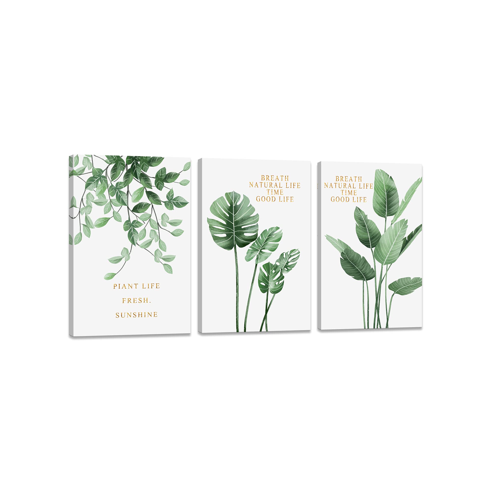 植物 風景画 絵画 緑の葉 装飾画 植物装飾 南国 インテリア 花のポスター 部屋飾り 絵画 自然 壁画 風呂 幸運 玄関 絵画 木枠付きの完成品 装飾 軽くて...