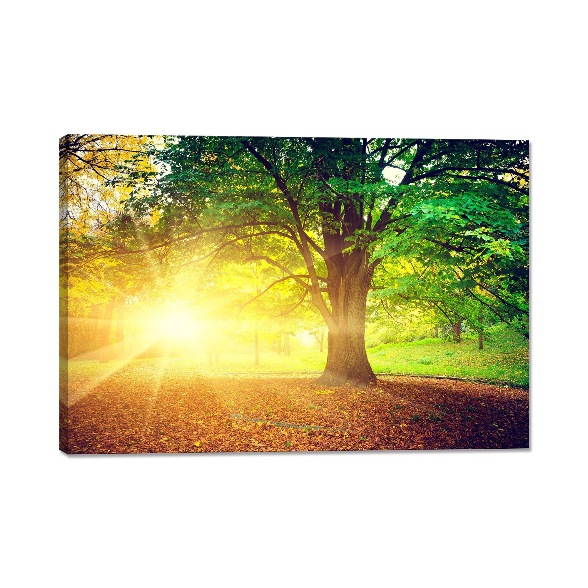 �����ȥѥͥ� ���� ���ۤθ� �ݥ����� �������� ���� ����ƥꥢ ���դ� ���� �� ���� ������ ���ʲ� �ɳݤ� �����դ��δ�����(30x40cm)