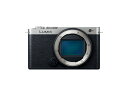 パナソニック(Panasonic) フルサイズ ミラーレス一眼カメラ ルミックス S9-S ボディ ダークシルバー DC-S9-S