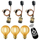 LVWIT ペンダントライト E26口金 LED電球付き 調光調色 60W形相当(消費電力6W) 90%省エネ 遠隔操作 配線ダクトレール用 天井照明 吊り下げ コード付き 昼光色 昼白色 電球色 常夜灯 100cm調節可能 PSE認証済 リモコン付き 3