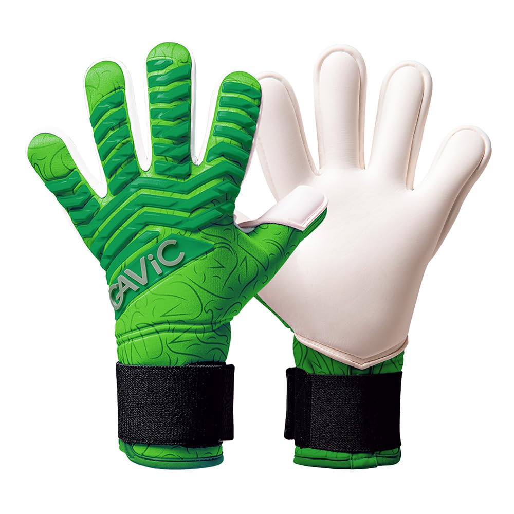 GAViC(ӥå)  ѡ ޥȥǵ(奦) GC3004