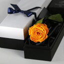 Makefuture Diamond Rose プリザーブドフラワー 花 バラ 化粧箱入り 1輪 (マンダリンオレンジ, ショッパー+国産ローズフレグランス付き)