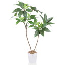 人工観葉植物 フェイクグリーン ツピダンサス 100CM 造花 観葉樹 光触媒 空気清浄 消臭抗菌 室内