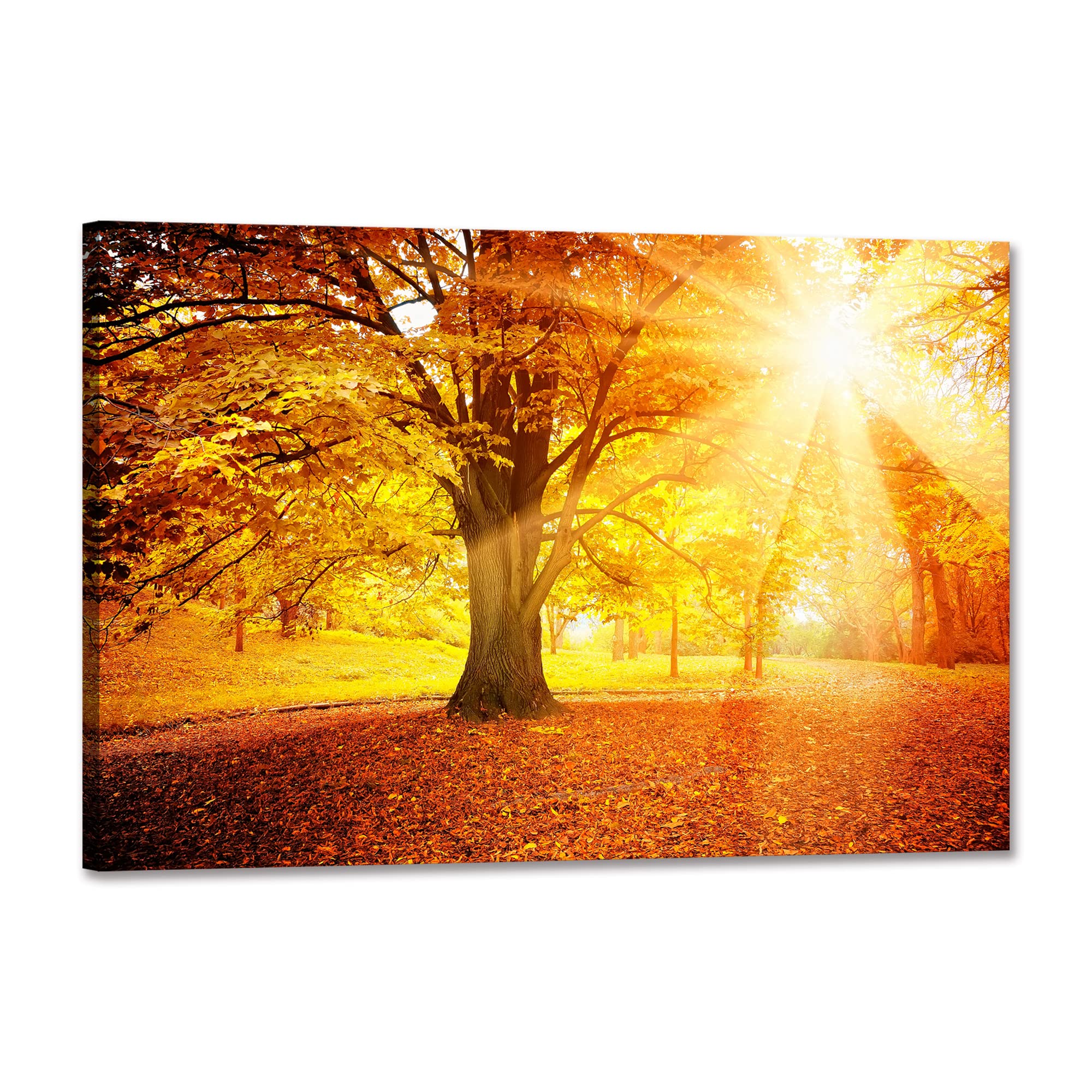 絵画 壁画の風景画 自然 森 緑 太陽 夏 枝下 林間 グリーン キャンバスピクチャーホームデコレーションポスター 額装する準備ができて(木枠付きの完成品) (...