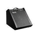 Coolmusic 100W BTパーソナルモニターアンプ電気ドラムア...(3)