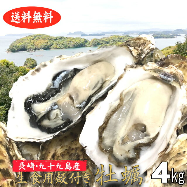 商品情報 名称生牡蠣内容量4kg 原産地・採取海域長崎県九十九島南部海域 消費期限出荷日より4日(要冷蔵) 保存方法10度以下で保存生ものですのでできるだけ早くお召し上がりください。 養殖・解凍の別養殖 加工業者丸強水産(株)長崎県佐世保市船越町1248-1 販売元株式会社松かき愛知県安城市城南町2-9-22殻付き牡蠣 産地直送 長崎県 九十九島産 4kg 大きめ 生食用 送料無料 旬 活 かき 生ガキ 松かき とれたて産地直送！大野さんの育てたこだわり大ぶり九十九島牡蠣！ ■とれたて産地直送！生食用牡蠣小ぶりなイメージの九十九島産の牡蠣ですが、こだわりの育成で大きく育てた牡蠣を厳選しました。100g〜150g前後が中心です。シーズンが進むにつれ、少しずつ大きく成長していきます。サイズは無選別となります。ぜひ、九十九島のとれたて牡蠣をお楽しみください。■殻付きの牡蠣です。むき方、簡単な調理方法は同梱しています。カキナイフ等は同梱しておりません。カキナイフ等はご用意下さい。■各サイズご用意してます。4kg、6kg、9kgの各サイズご用意しております。お人数、ご用途に応じてご利用ください。■消費期限生食用：出荷日含め4日間加熱用：出荷日含め5日間到着後は消費期限にかかわらずお早めにお召し上がりください。※要冷蔵※生牡蠣の食べ過ぎは体調によって体調を崩す場合もありますので体調が悪い場合は過度の生食をお控えください。■北海道・沖縄県は発送しておりません。ご注文いただけましてもキャンセルさせていただきます。ご了承くださいませ。 5