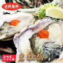 岩牡蠣 殻付き牡蠣 産地直送 長崎県 九十九島産 4kg 生食用 送料無料 旬 活 かき 生ガキ 松かき