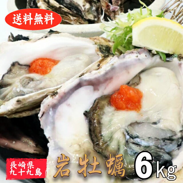 岩牡蠣 殻付き牡蠣 産地直送 長崎県 九十九島産 6kg 生食用 送料無料 旬 活 かき 生ガキ 松かき