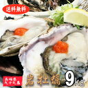 岩牡蠣 殻付き牡蠣 産地直送 長崎県 九十九島産 9kg 生...