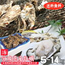 生食用 牡蠣 殻付き牡蠣 宮城県産 真牡蠣 生牡蠣 生食用出荷は毎週月曜の検査結果次第 産地直送 旬 活 かき 送料無料