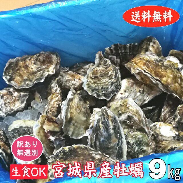 【訳あり】 殻付き牡蠣 産地直送 宮城県産 9kg 生食用 送料無料 活 かき 生ガキ