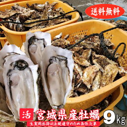 殻付き牡蠣 9kg 宮城県産 生食用出荷は毎週月曜の検査結果次第 産地直送 送料無料 旬 活 かき