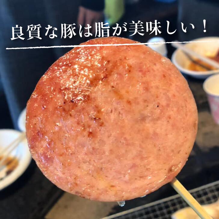 厚切りボロニア 茨城 銘柄豚 常陸の輝き ボロニアソーセージ 家飲み おつまみ 万能ソーセージ 国産 豚肉 100％ お取り寄せグルメ 取り寄せ BBQ バーベキュー 食材 3