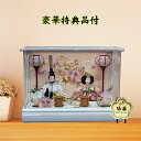 【クーポン発行中】 雛人形 ケース飾 グレージュ塗 アクリルケース おしゃれ モダン 今コンパクト 親王飾り 白束帯 白衣裳 ミニ 名前札 被布着 特典品 初節...