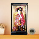 羽子板 宝童作 15号 豪華 綺麗 おしゃれ ケース飾り 初正月 お祝い 人気 特典品 名前札 プレミアム 高級 伝統工芸品 縁起物