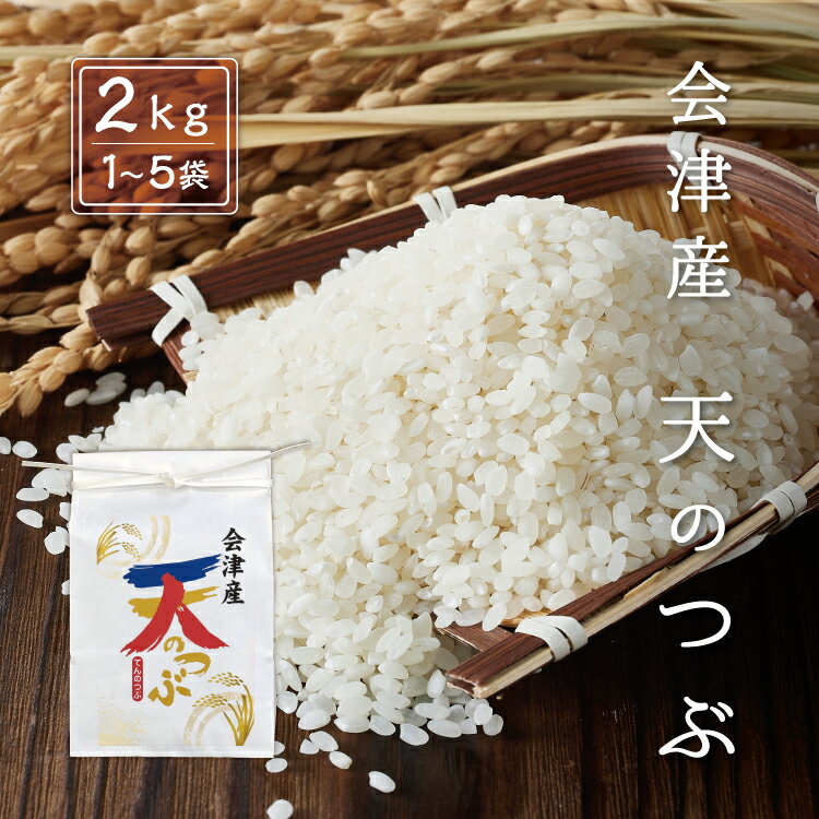 \集荷増セール/ 令和7年産 新米 天のつぶ 【白米】 2kg 4kg 6kg 8kg 10kg 会津産 産地直送 送料無料 九州・沖縄別途送料 お米 米 精米...