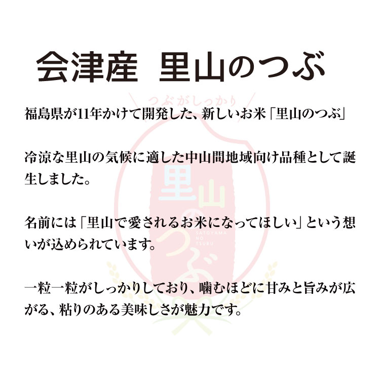 福島の里山で育った、粒立ちよく粘りのある美味しいお米です。 噛むほどに甘みが広がる、福島発のお米「里山のつぶ」。　令和7年産 新米 里山のつぶ 【玄米】 30kg 会津産 産地直送 送料無料 九州・沖縄別途送料 お米 米 里山の粒