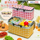 クーラーバッグ 保温 保冷バッグ クーラーボックス 30L 大型 大容量 多層断熱 高性能 耐久性 防水 撥水 折りたたみ ット ハンドル付 持ち運び 軽量 ソ...