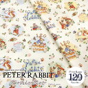 s[^[rbgwo[Xf[p[eB[xIbNXvg⁦110cm@Rbg100bPicture Book Peter Rabbit LN^[n G{o120NLOb