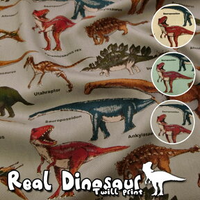 ▼RealDinosaur（リアルダイナソー）≪ツイルプリント≫※108cm幅　コットン100％｜生地 男の子 入園入学準備 恐竜柄｜