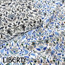 【10cm単位のカット販売】Liberty Fabrics(リバティ ファブリックス)Tana Lawn ™タナローン＊2020春夏＊from London with Love【James Francis】（ジェームスフランシス）