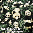 Panda World(パンダ ワールド)≪シーチング*インクジェットプリント≫※110cm幅 コットン100%