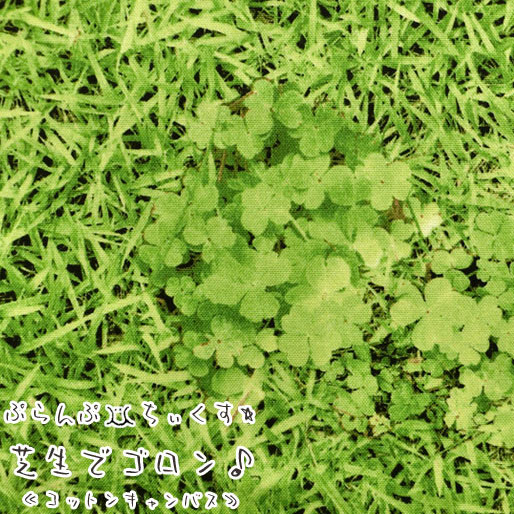 Other - ◇◇★ぷらんぷちぃくす『芝生でゴロン♪』≪コットンキャンバス≫※108cm幅　コットン100％