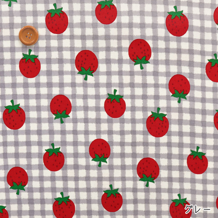 ■★Strawberry Check（ストロベリー◇チェック）≪オックスプリント≫※108cm幅 コットン100％｜イチゴ柄 いちご チェック 食べ物 入園入学 生地 布｜