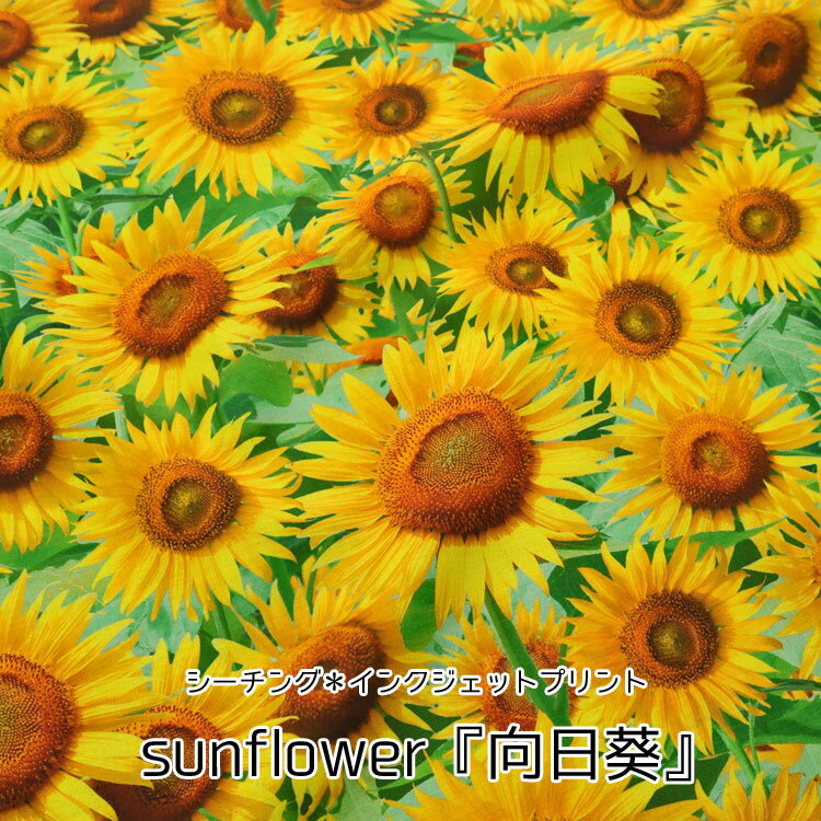 Rakuten - ◆◆sunflower『向日葵』≪シーチング＊インクジェットプリント≫※106cm幅　コットン100％｜ひまわり ヒマワリ 花柄 フラワー リアルプリント 生地 布｜